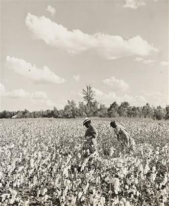 (WOLCOTT; ROTHSTEIN; LEE) A selection of 5 photographs depicting scenes around cotton. 1935-38.